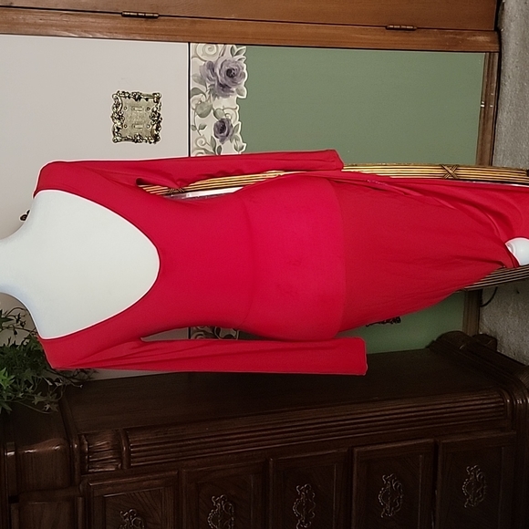 Red Dress - Picture 4 of 5